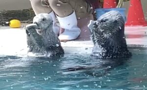 メイちゃんとキラちゃん