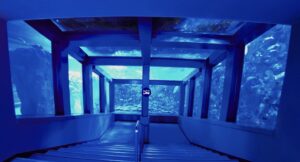 サンゴ礁の海の大水槽（鳥羽水族館）