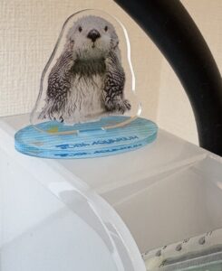 鳥羽水族館メイちゃんアクリルスタンド