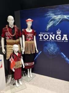 TONGAパネルと民族衣装