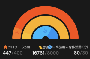 SmartWatchの記録