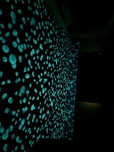 くらげの壁紙は夜光る
