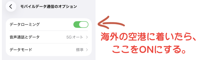 iPhone設定画面