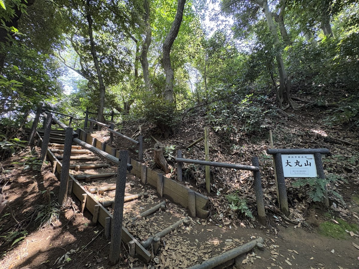 大丸山へ続く丸太の階段
